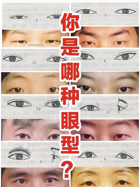 鳳眼特徵|面相好不好？一半看眼睛！最全眼型圖解